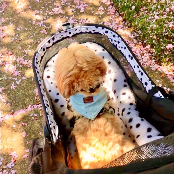 ❤️ - Picture 14 of 14